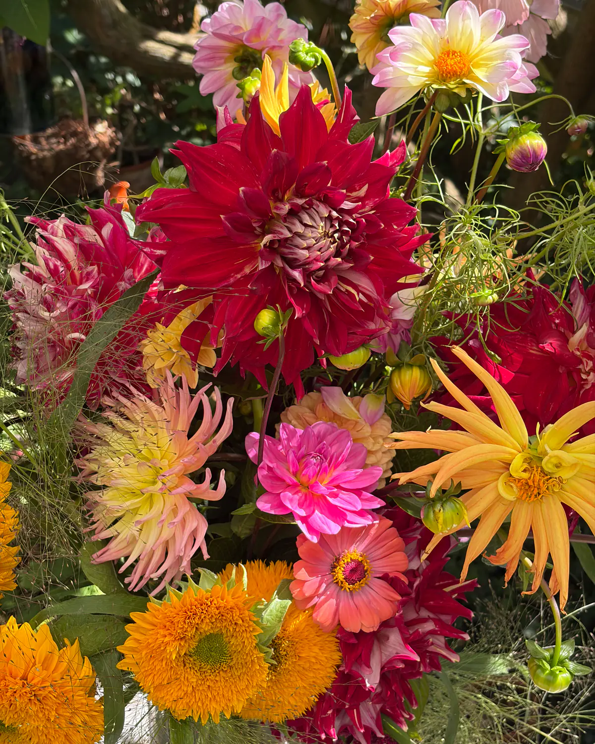 Bloemdecoratie met roze dahlia's, zonnebloemen en siergrassen